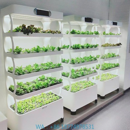 Hydroponic System - Hydroponic Automated Grow SystemIntelligent Hydroponic Growing