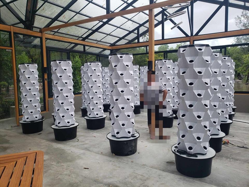 Greenhouse Vertical Farming Hy - огляд і ціна Hydroponic System