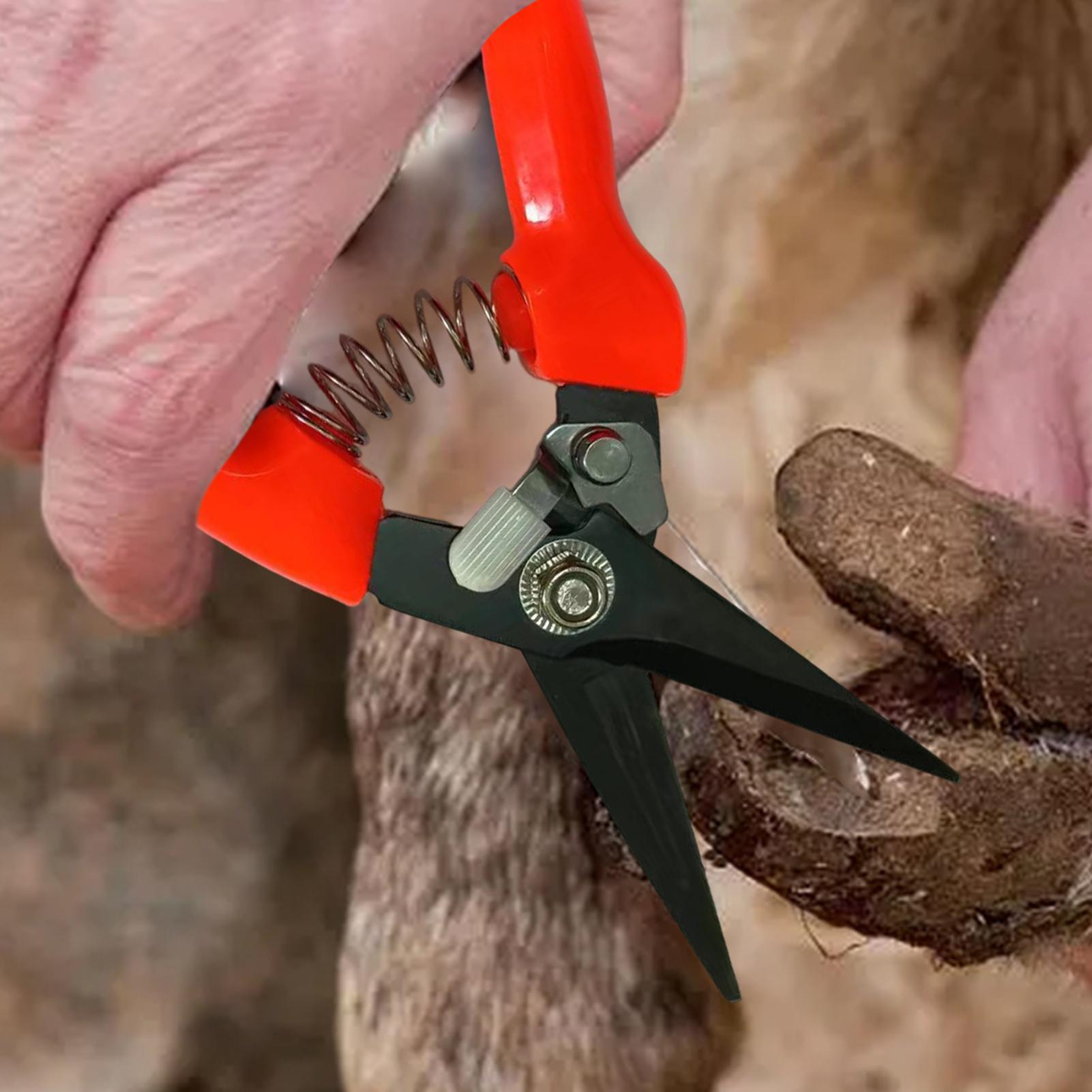 Sheep Hoof Trimmers Shrub Plan - огляд і ціна Garden Hand Trowel