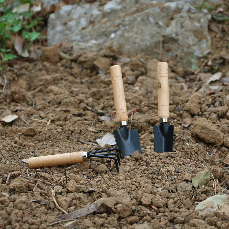 3Pcs/Set Mini Garden Tool Set  - огляд і ціна Gardening Tools For Weeds