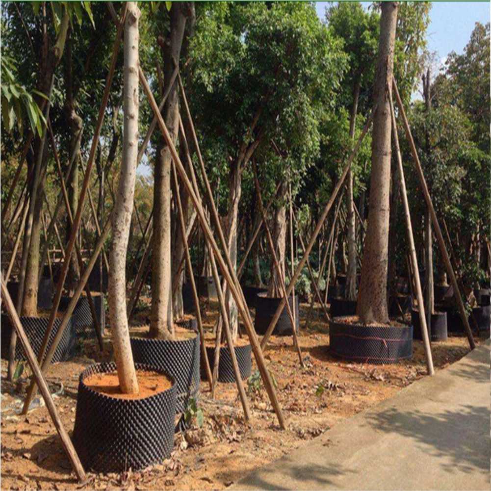 Grow Container Garden Tree Bon - огляд і ціна Gardening Tools In