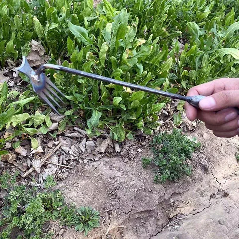 Garden Weeders Grass Hand Weed - огляд і ціна Gardening Tools For Weeds