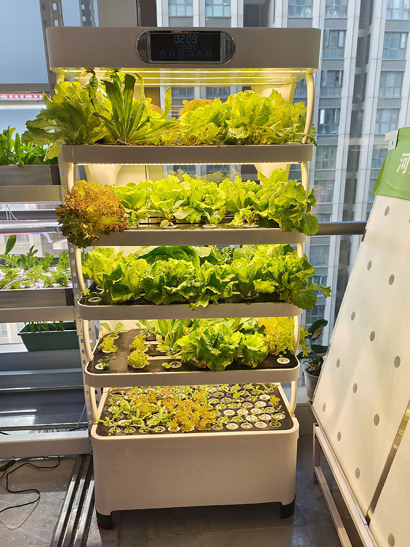 c Agriculture Machine to Growi - огляд і ціна Hydroponic System