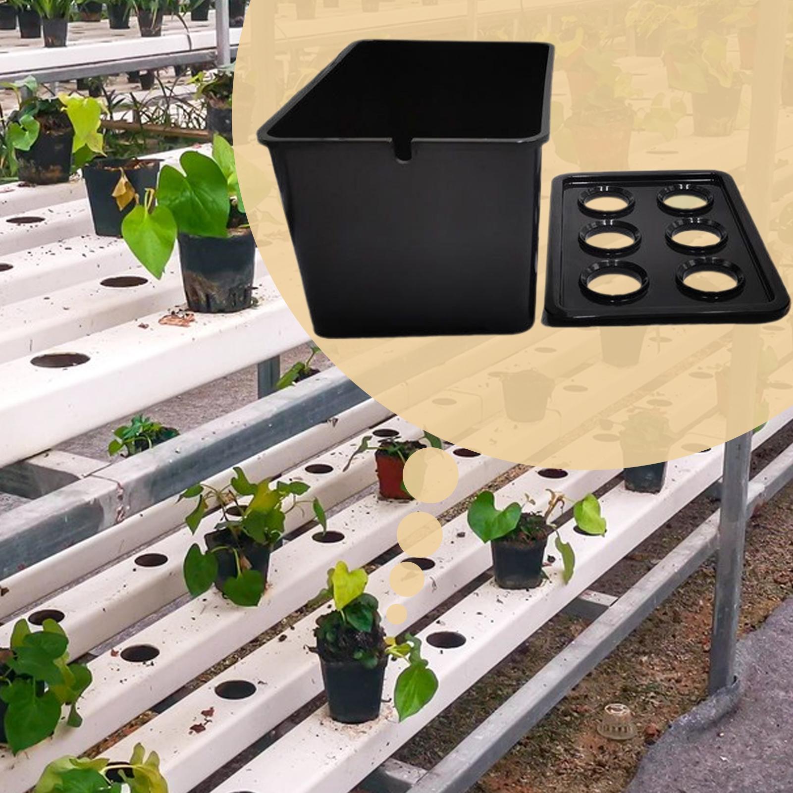 Hydroponic Planting Kit Beginn - огляд і ціна Hydroponic System