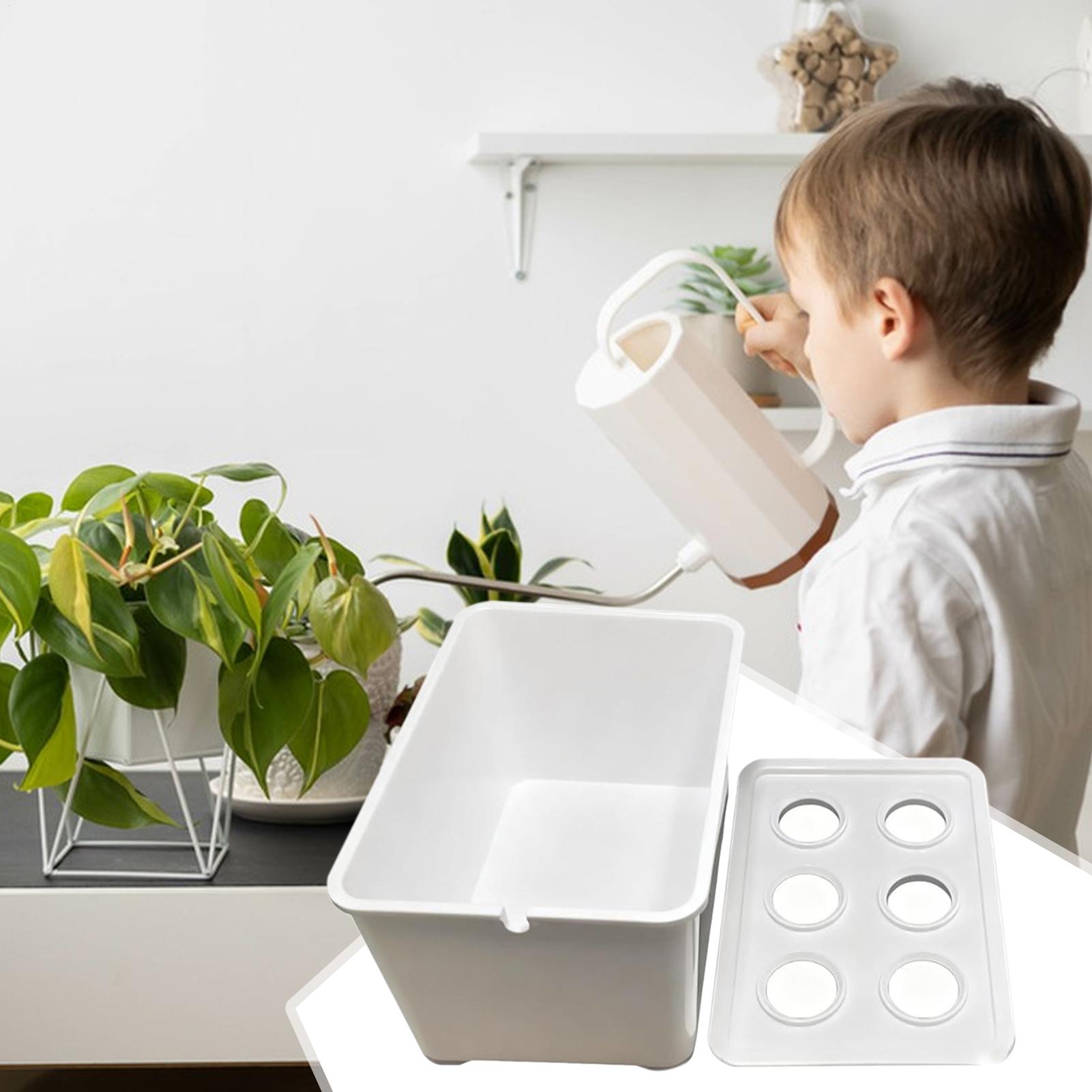 Hydroponic Planting Kit Beginn - огляд і ціна Hydroponic System