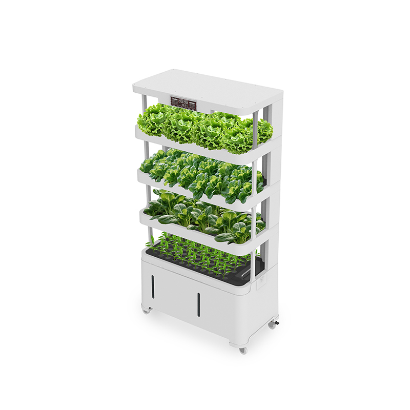 High-Tech Intelligent Hydropon - огляд і ціна Hydroponic System