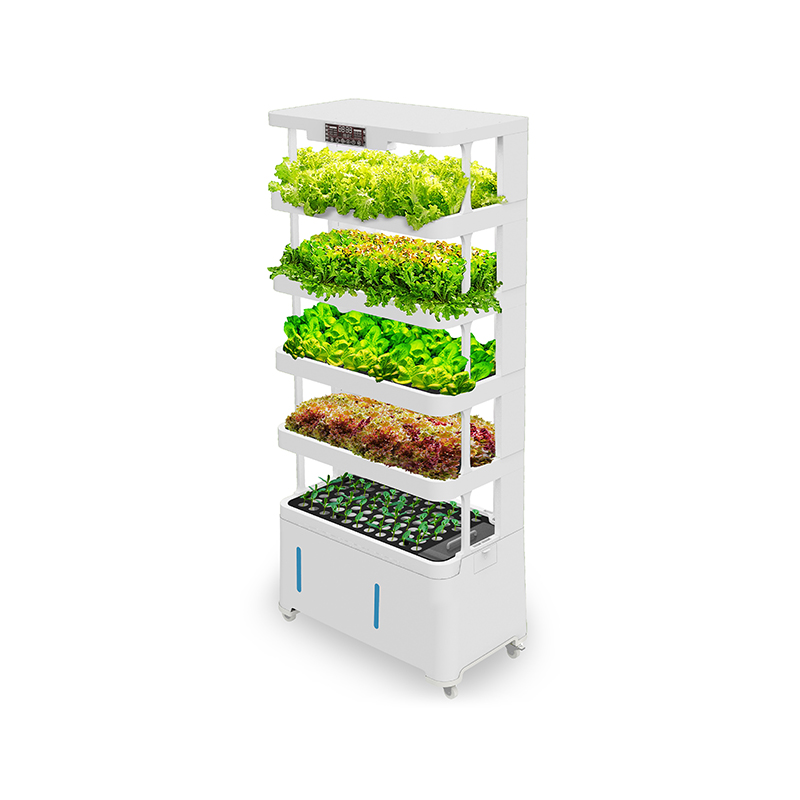 High-Tech Intelligent Hydropon - огляд і ціна Hydroponic System